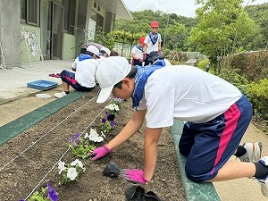 IMG_0696-cleaned