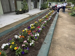 IMG_0704-cleaned