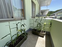 IMG_5862