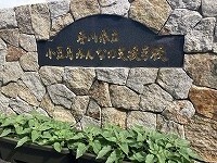 門の前のプランターのひまわり