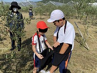 どれだけ取れたか、比べっこ！