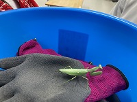 山に帰りました。