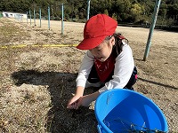 池田小学校の草抜き