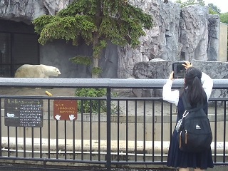 旭山動物園1