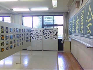 26