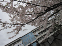 0407 入学式②