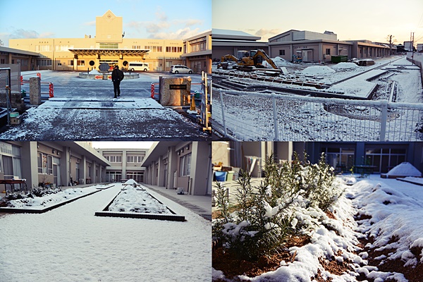 雪が積もりました。