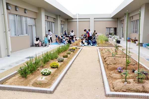 小学部サツマイモ畑