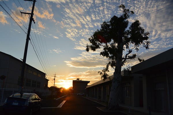 美しい夕空でした