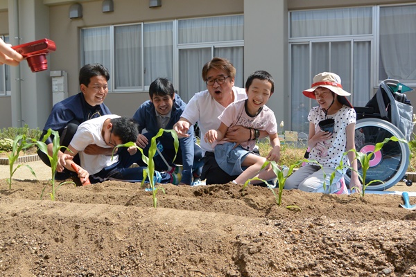 トウモロコシ植えの様子