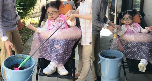 米づくり