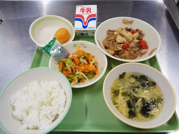豚肉と豆腐のみそ炒め