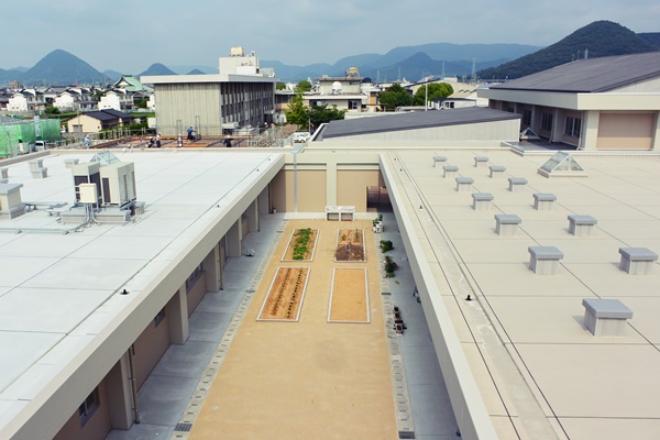 屋上から農園方向