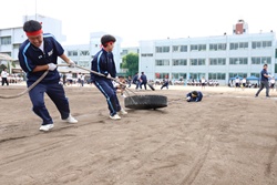 IMG_8216.JPG