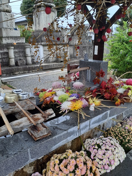 道隆寺の花手水