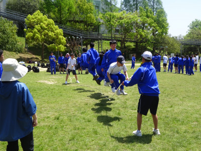 DSC04254