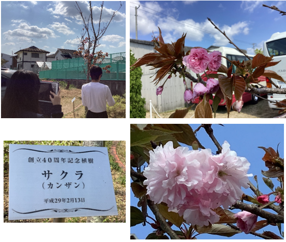 0422HP④