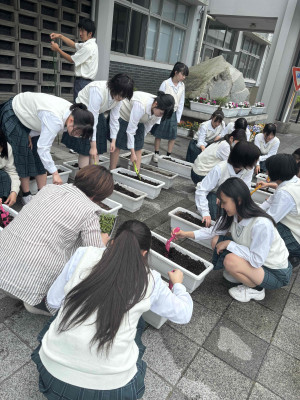 植替え③