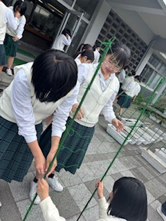 植替え⑦