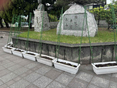 植替え⑨