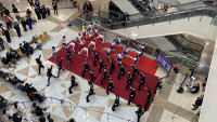 IMG_0805
