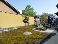 P1050511