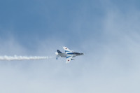 S__52248624_0