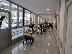 IMG_2567