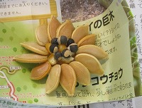 IMG_3034 (2)