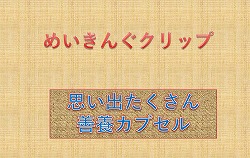 スクリーンショット 2023-11-17 110515