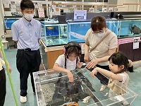 IMG_2271