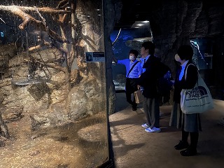 IMG_7451-cleaned