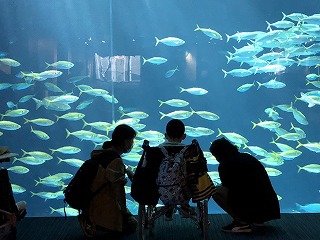 IMG_7486-cleaned