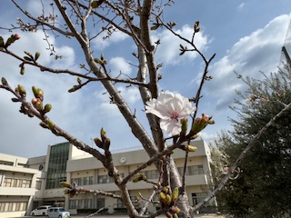 IMG_9074-cleaned