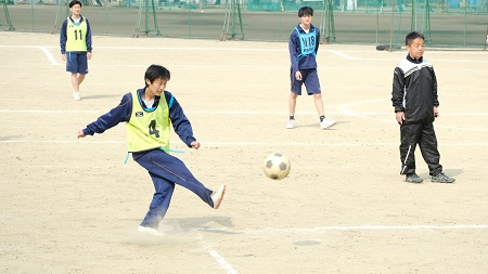 2303101.jpg