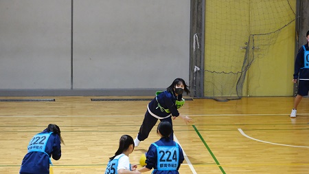 2303105.jpg