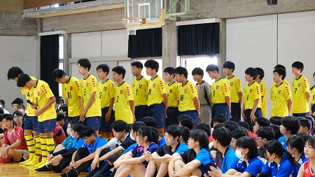 2305265.jpg