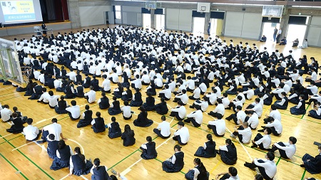 2305313.jpg
