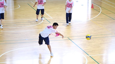 2407112.jpg