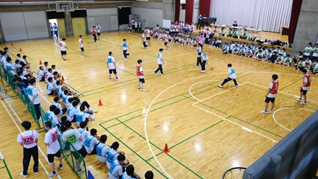 2407116.jpg