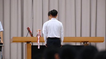 2407192.jpg