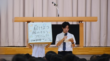2407195.jpg