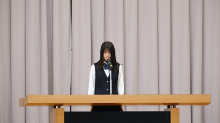 2409073.jpg