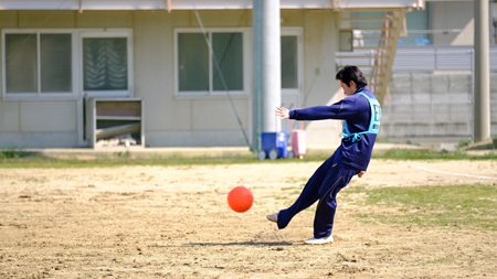2503181.jpg