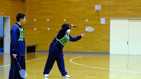 2503183.jpg