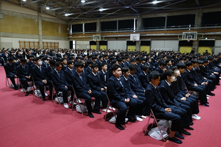 2504081.jpg