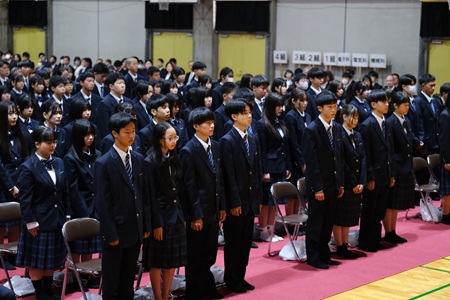 2504082.jpg