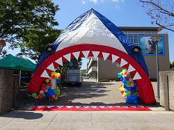 文化祭1.jpg