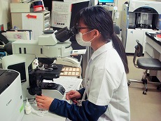 インターンシップ5.jpg
