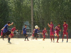 三本松10.jpg